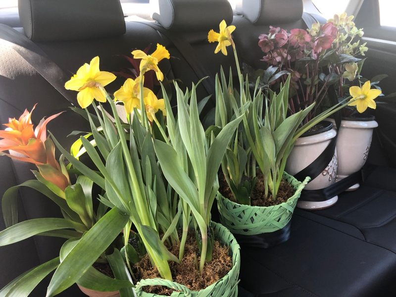 All plants arrived at their destinations unharmed.
